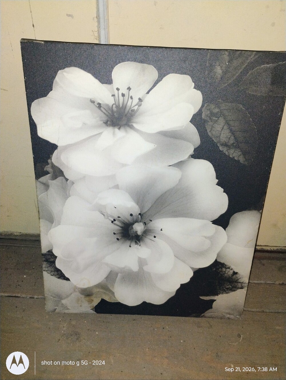 Floral Canvas Wall Art - White Blossom Design